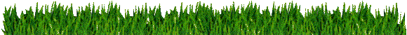 �_�Ƒ�